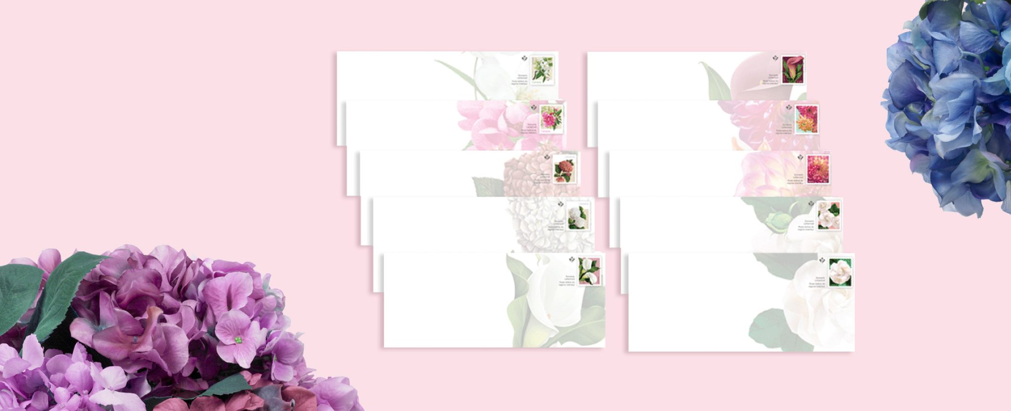 Enveloppes affranchies de timbres de Postes Canada consacrés aux fleurs